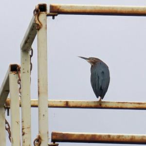 5 of 7 would listen again