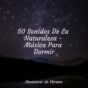 Visiones Luminosas