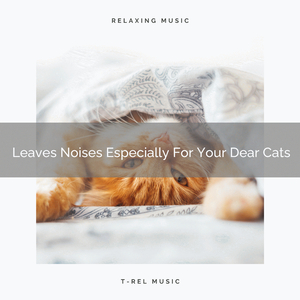Interesting Waves Noises For Our Cats