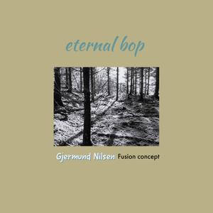 Eternal bop (feat. Terje Kingsrød guitar)