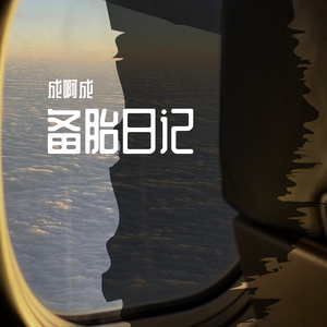 备胎日记