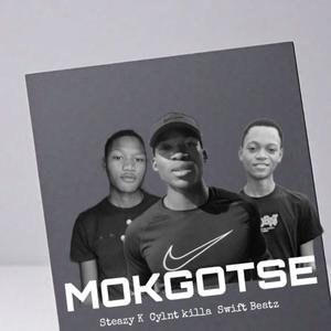 Mokgotse