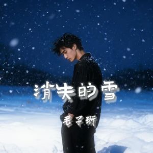 消失的雪