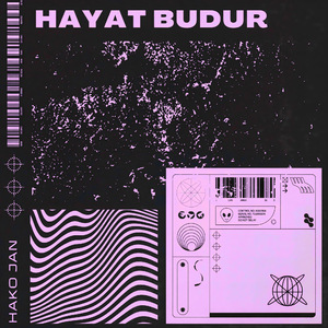 Hayat Budur