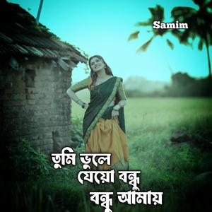 তুমি ভুলে যেয়ো বন্ধু আমায়