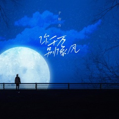 你千万别像风 (DJ阿卓版)