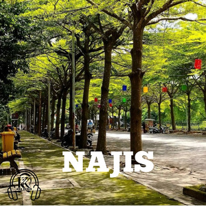 Najis (Remix)