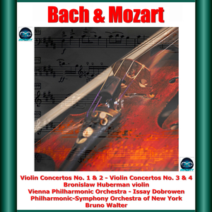 Violin Concerto No. 1 in A Minor, BWV 1041:I. Allegro (non tanto)