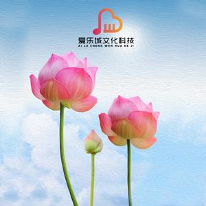 四季歌 (经典民谣)