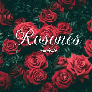Rosones