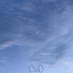 [已买断]关于黎明的幻想