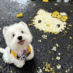 Heartless to face（晓晓姐 remix）