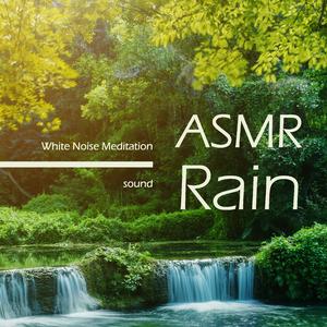 森林流水白噪音