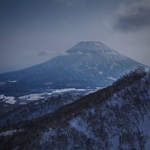 PermaFrost y Tundra