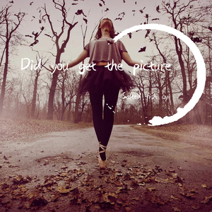 Did You Get The Picture