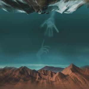 多情的人总被无情的伤