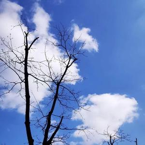 秉烛夜游