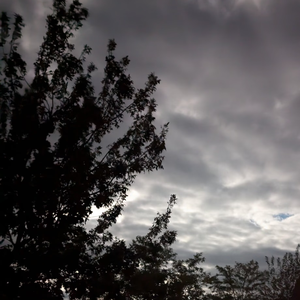 [FREE] 河南说唱之神 x KenRobb Type