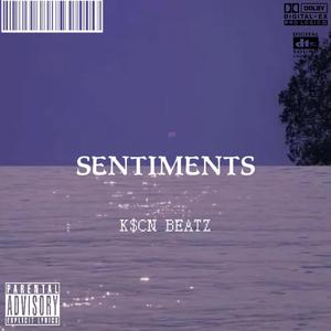 [FREE BEAT]“SENTIMENTS”Emo Rap type beat