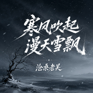 寒风吹起漫天雪飘