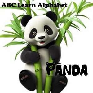 Bus School (Part. 2)