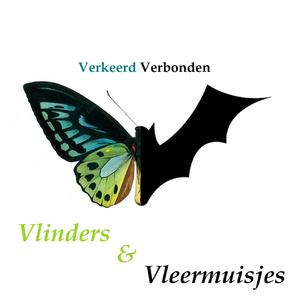 Vlinders & Vleermuisjes