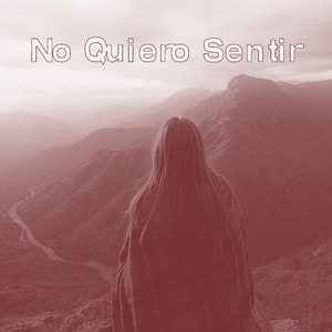 No Quiero Sentir