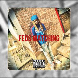 Feds Watchimg