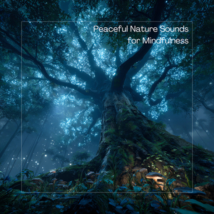 Meditating in the Arctic Wind Soundscape