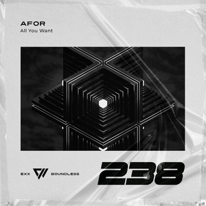 All You Want (Extended Mix)