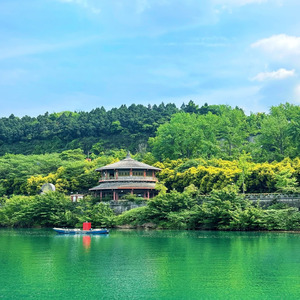 流泪的眼圈
