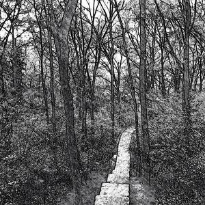 我是一片与你错过的海