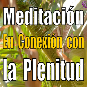 Meditación. en Conexión Con la Plenitud.