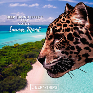 Summer Mood (Mateo Roksandic Remix)