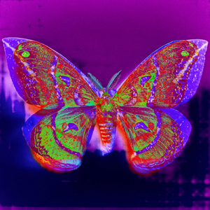 A Symphony for the Apocalypse