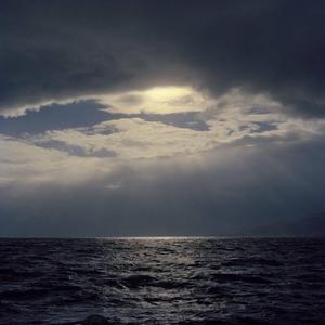 家乐ⒿⒾⒶⓁⒺ（Prod. Roko Tensei）