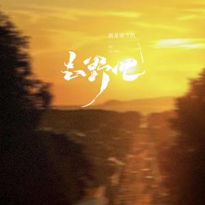 去野吧 (DJ豪大大版)