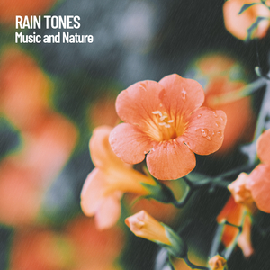 Soothing Music for Sleeping