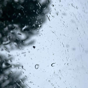 Сонные тени