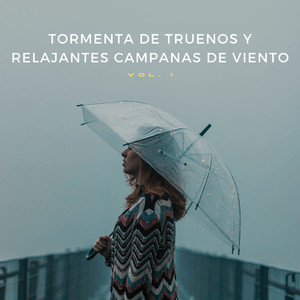 Sonido De Lluvia Intensa