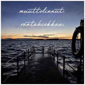muuttolinnut, rantahiekkaa
