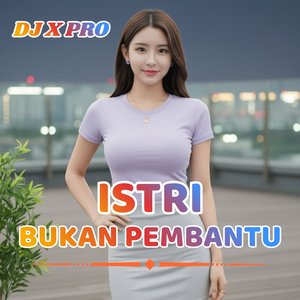 Istri Bukan Pembantu