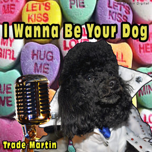 I Wanna Be Your Dog