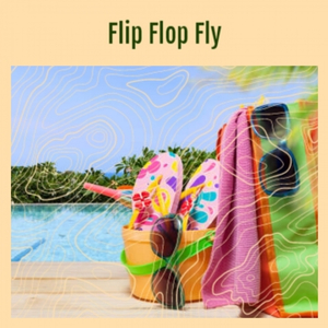 Flip Flop Fly