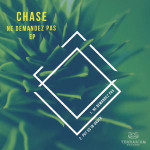 Put Us In Order (Original Mix)