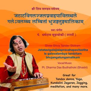 Shiva Tandav (Jatatavigalajjalapravahapavitasthale galevalambya lambitam bhujangatungamalikam)