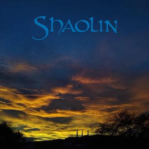 Shaolin (feat. Arokem)