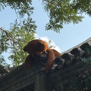 斜拉桥的独白-斜拉桥