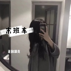炸街甩头专用 (DJ版)
