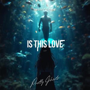 Is This Love (VIP)